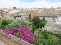 Alcudia (12)