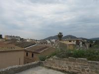 Alcudia