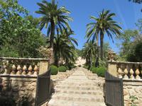Alfabia (2)