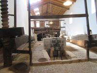 Alfabia (31)