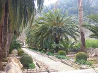 Alfabia