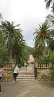 Alfabia