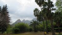 Alfabia