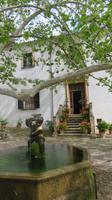 Alfabia