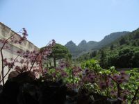 Alfabia