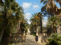 Alfabia