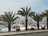 Am Hafen von Palma