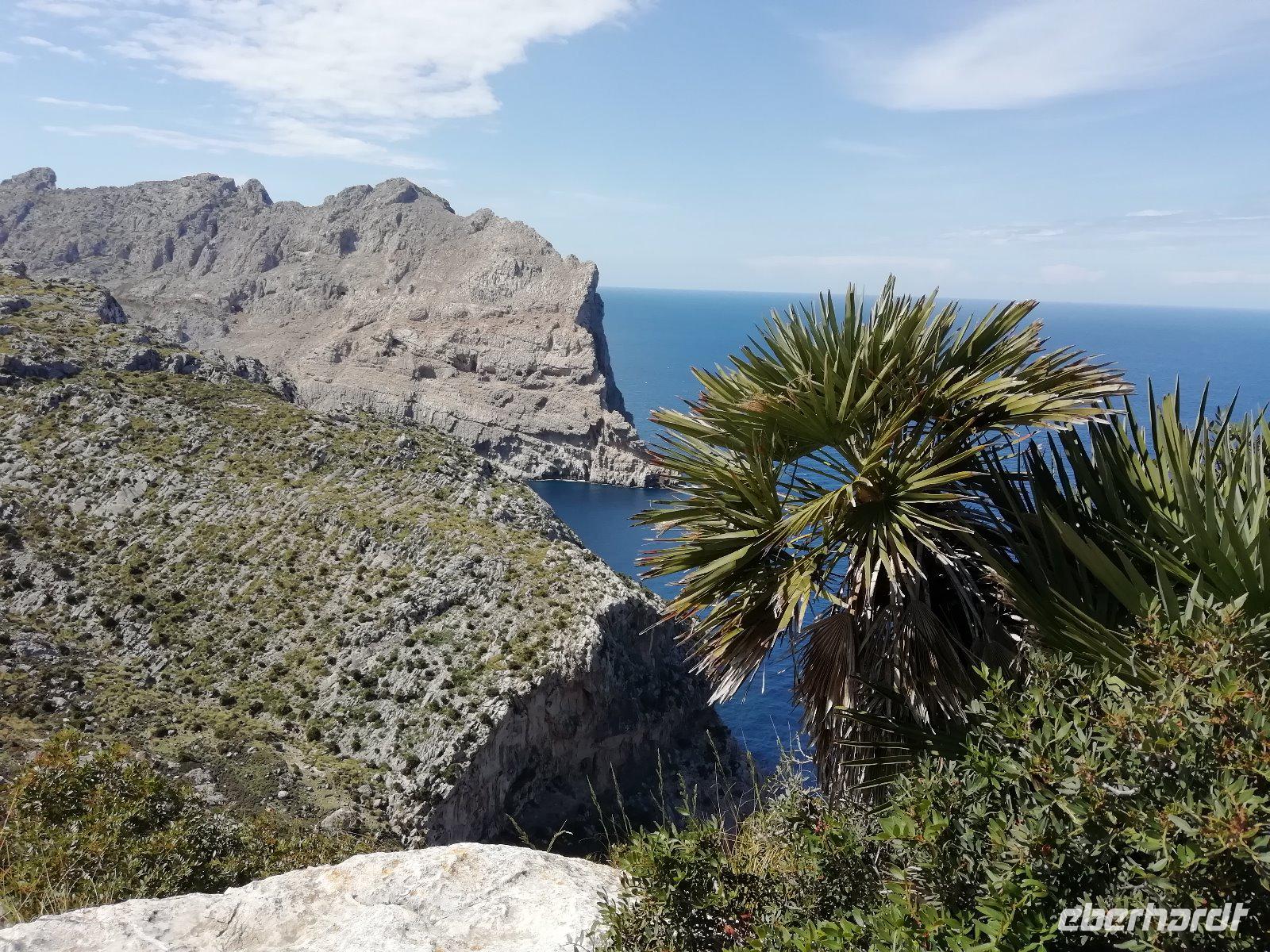 Am Kap Formentor