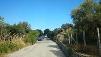 Auf Rundfahrt durch Mallorca