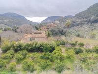 Ausblick in die Natur von Valdemossa - Mallorca