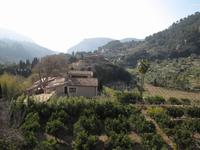 Besichtigung Kartäuserkloster im Tramuntana Gebirge