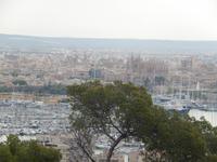 Blick auf Palma