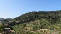 Blick ins Tal