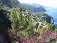 Blick vom Torre des Verger (2)