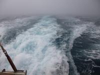 Bootsfahrt im Nebel