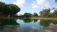 Botanicactus, Mallorca