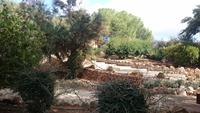 Botanicactus, Mallorca