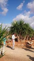 Botanicactus, Mallorca