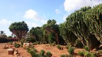 Botanicactus, Mallorca