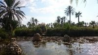 Botanicactus, Mallorca