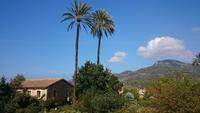 Botanischer Garten Soller