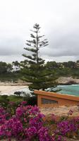 Bucht von Mendia - Cala Mendia (Ostküste)