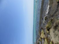 Bucht