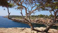 Cala Pi, Mallorca