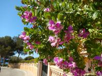 Cala Pi