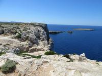 Cavalleria (15)