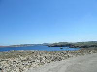 Cavalleria (23)