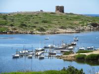 Cavalleria (24)
