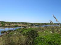 Cavalleria (25)