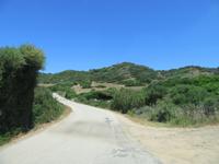 Cavalleria (3)