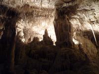 Coves del Drac (8)