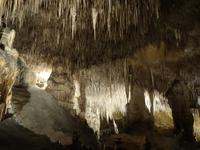 Coves del Drac - Drachenhöhle bei Porto Christo