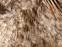 Coves del Drach
