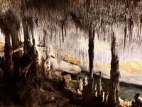 Coves del Drach