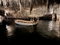 Coves del Drach