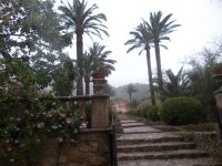 DSCN8841.JPG