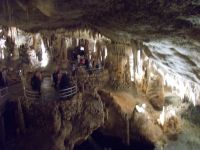 DSCN9705.JPG