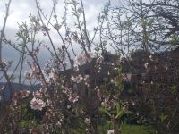 DSCN9929.JPG