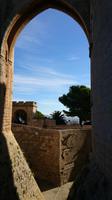DSC_0507  Durchblick