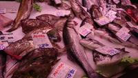 DSC_0521  Fischhalle