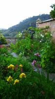 Der kleine Klostergarten von Valdemossa