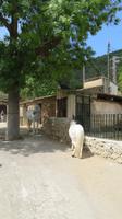 Erlebnisgut La Granja