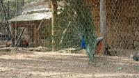 Erlebnisgut La Granja