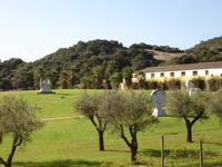Finca 