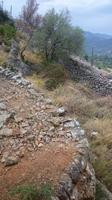 Gärten von Raixa, Mallorca
