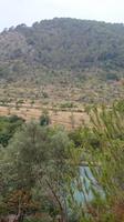 Gärten von Raixa, Mallorca